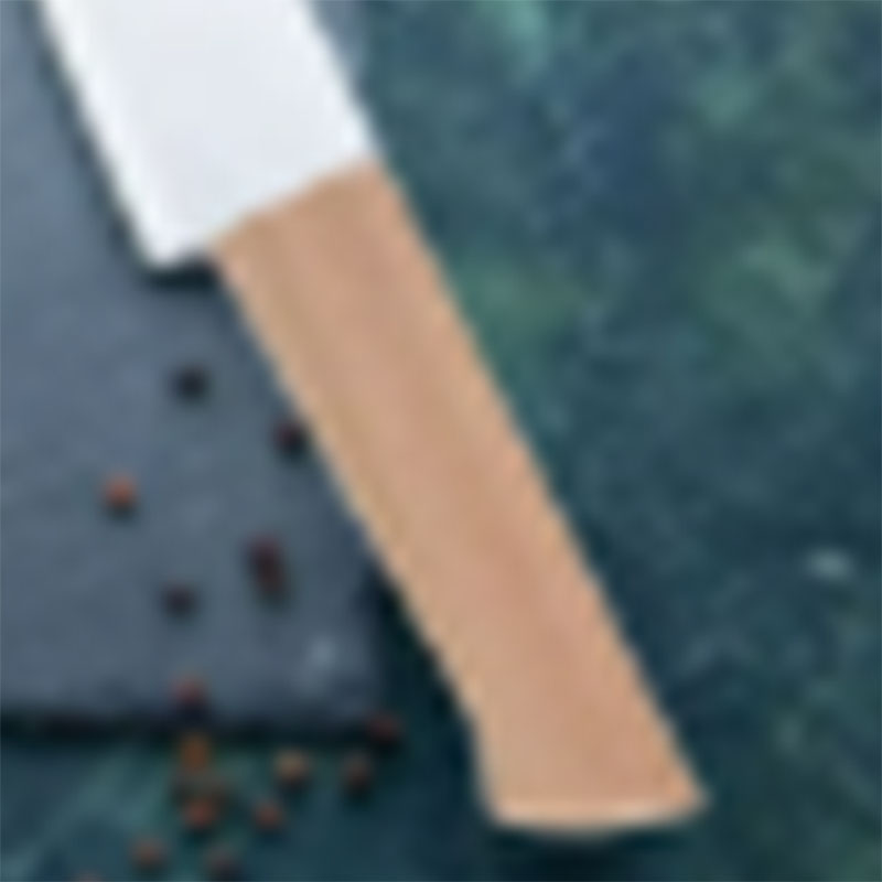 2 Buah Gagang Pisau untuk Pisa - Japanese Knife ulasan dan harga